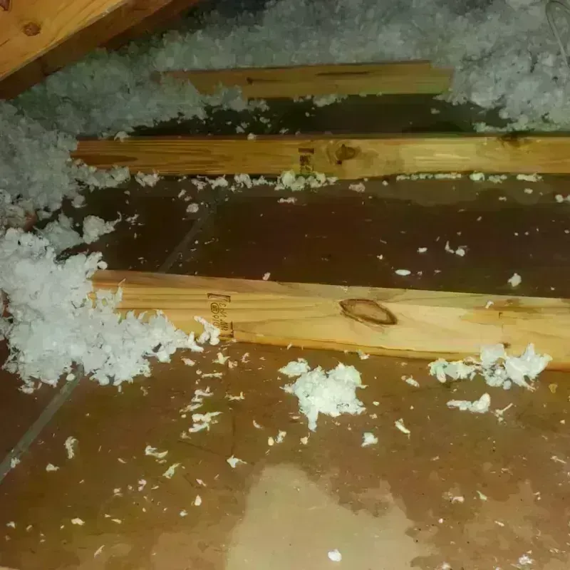 Attic Water Damage in Palmyra, MO