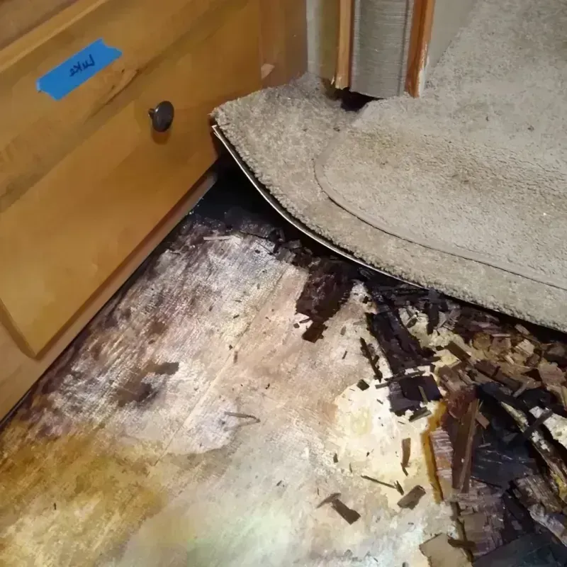 Wood Floor Water Damage in Palmyra, MO